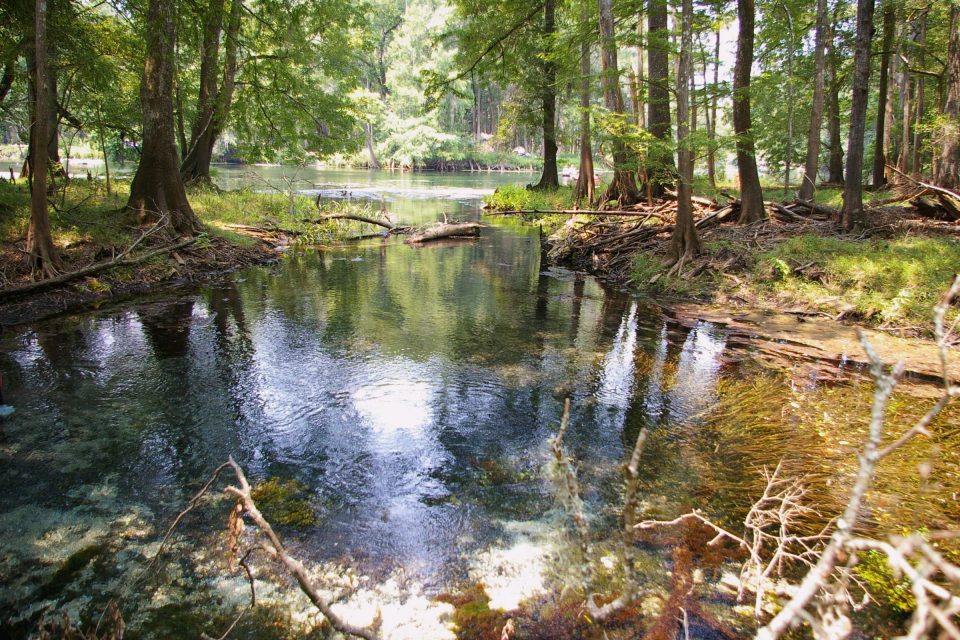 001 27a2 Sawdust Springs In: Latest On Water Withdrawal Permit Requests | Our Santa Fe River, Inc. (OSFR) | Protecting the Santa Fe River 001_27a2 Sawdust Springs