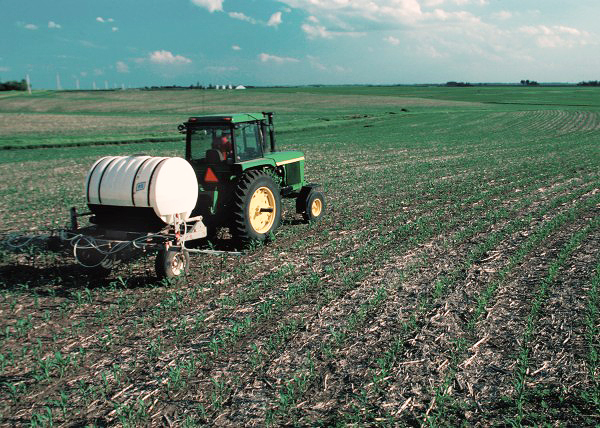 Fertilizingcornfield In: "...Phosphorus Is a Renewable Resource and There Is Plenty of It Left On Earth." | Our Santa Fe River, Inc. (OSFR) | Protecting the Santa Fe River fertilizingcornfield-600x428