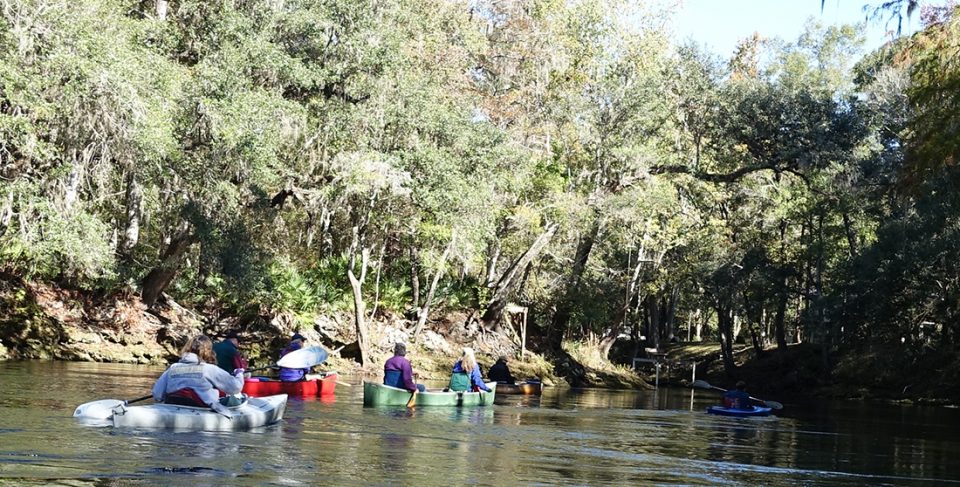 paddlenov 16group In: Perfect Day For a Paddle | Our Santa Fe River, Inc. (OSFR) | Protecting the Santa Fe River paddlenov-16group