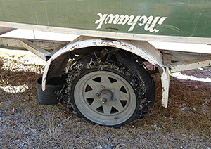 paddlenov-16tire