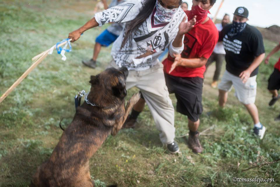 standingrock4 In: Say No to the Dakota Pipeline AND SABAL TRAIL | Our Santa Fe River, Inc. (OSFR) | Protecting the Santa Fe River standingrock4