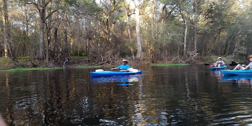 paddlejan7