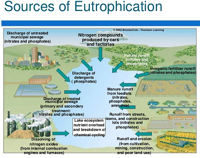 eutrophication In: Nasty NitratesW | Our Santa Fe River, Inc. (OSFR) | Protecting the Santa Fe River eutrophication