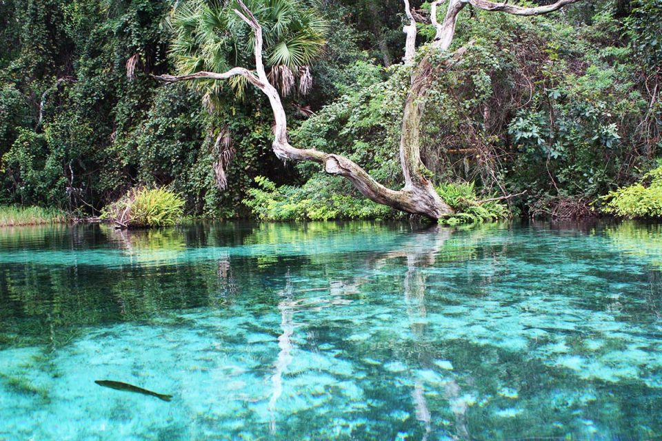 Rainbow River