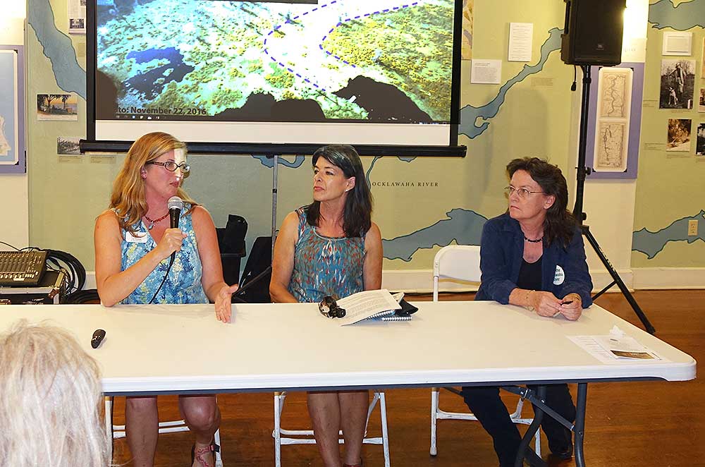 LSpanel In: "Lost Springs," Presentation by Margaret Tolbert | Our Santa Fe River, Inc. (OSFR) | Protecting the Santa Fe River LSpanel In: "Lost Springs," Presentation by Margaret Tolbert | Our Santa Fe River, Inc. (OSFR) | Protecting the Santa Fe River