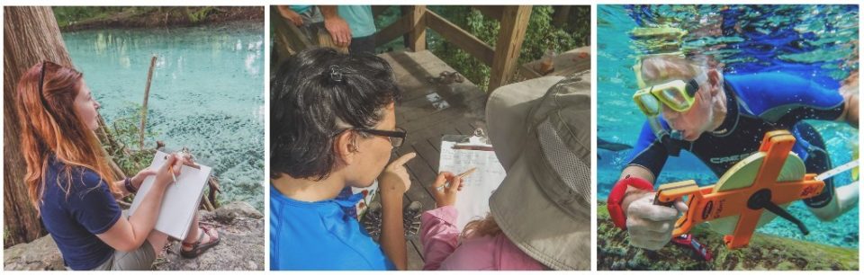2017 spring school2 In: JOIN US FOR 2017 SPRINGS FIELD SCHOOL | Our Santa Fe River, Inc. (OSFR) | Protecting the Santa Fe River