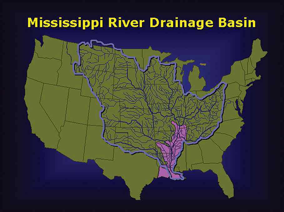 deadzone2 In: Fertilizer Causes Largest Ever Dead Zone | Our Santa Fe River, Inc. (OSFR) | Protecting the Santa Fe River