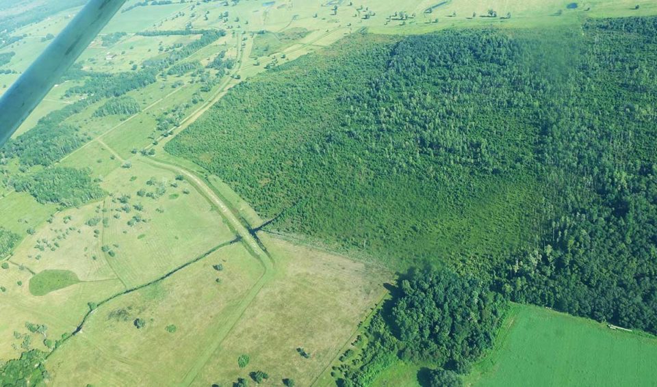 HPflyfernpond In: Thumbs down for state plan | Our Santa Fe River, Inc. (OSFR) | Protecting the Santa Fe River