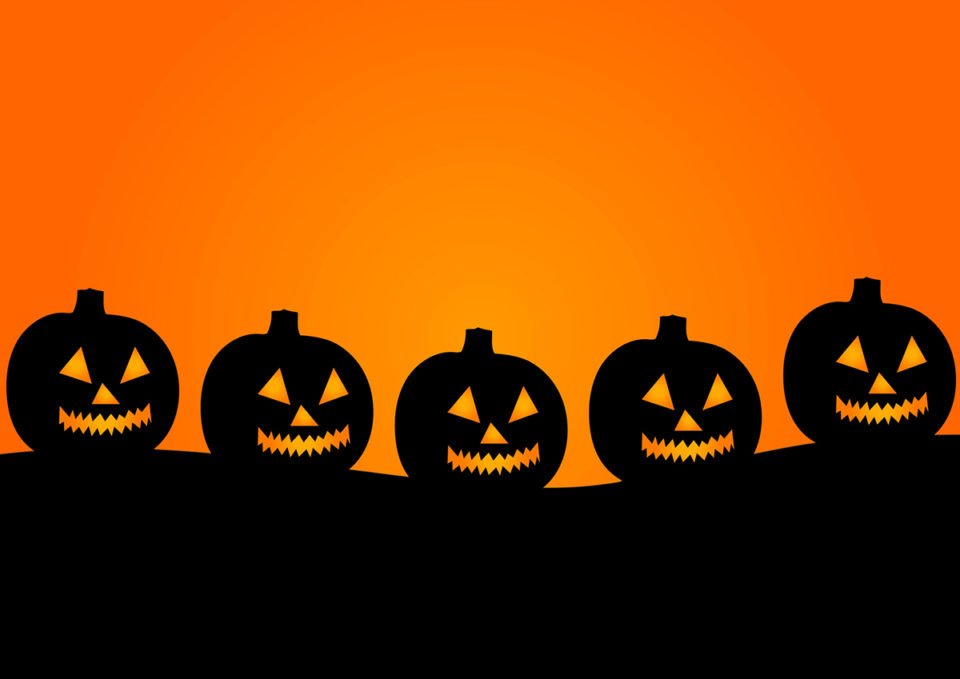 halloween138 In: VOLUNTEERS NEEDED NOW THROUGH OCT 27TH | Our Santa Fe River, Inc. (OSFR) | Protecting the Santa Fe River halloween138 In: VOLUNTEERS NEEDED NOW THROUGH OCT 27TH | Our Santa Fe River, Inc. (OSFR) | Protecting the Santa Fe River