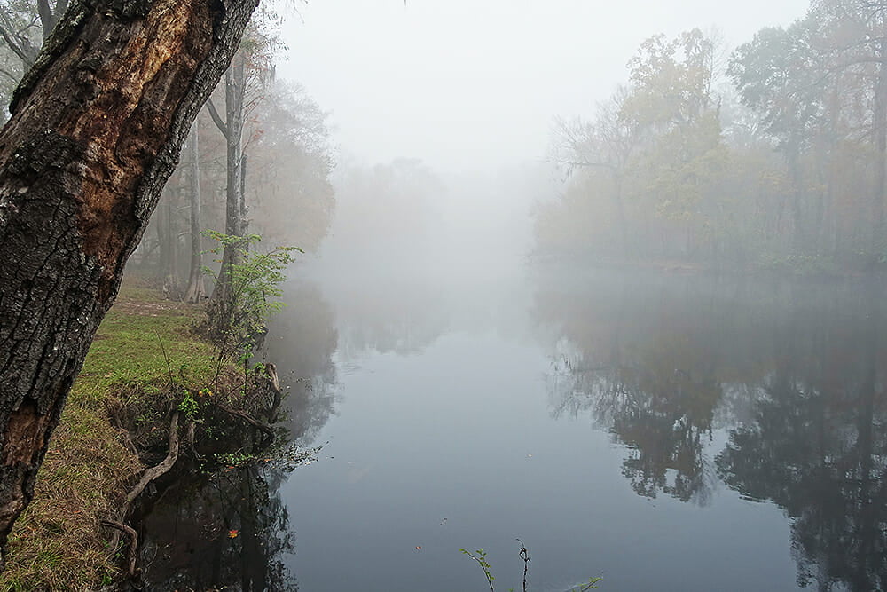 rum article 8 In: Rum Island Vendor Blames Park Patrons | Our Santa Fe River, Inc. (OSFR) | Protecting the Santa Fe River rum article 8 In: Rum Island Vendor Blames Park Patrons | Our Santa Fe River, Inc. (OSFR) | Protecting the Santa Fe River
