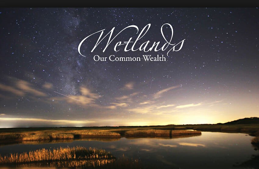 wetlands In: Help Protect The Wetlands And Our Aquifer January 23, 2018 5-8 pm | Our Santa Fe River, Inc. (OSFR) | Protecting the Santa Fe River wetlands In: Help Protect The Wetlands And Our Aquifer January 23, 2018 5-8 pm | Our Santa Fe River, Inc. (OSFR) | Protecting the Santa Fe River