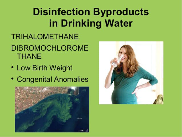 trihalomethanes In: Six Times The Allowable Toxins | Our Santa Fe River, Inc. (OSFR) | Protecting the Santa Fe River trihalomethanes In: Six Times The Allowable Toxins | Our Santa Fe River, Inc. (OSFR) | Protecting the Santa Fe River
