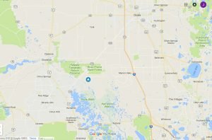 AZ OCALA In: AZ Ocala Ranch Update | Our Santa Fe River, Inc. (OSFR) | Protecting the Santa Fe River