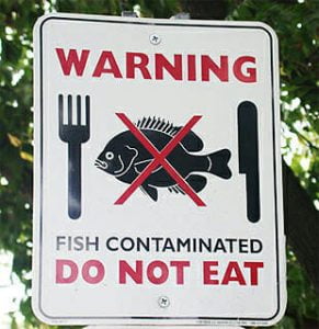 fishWarningSign In: Are the fish in Florida's polluted waters safe to eat? | Our Santa Fe River, Inc. (OSFR) | Protecting the Santa Fe River