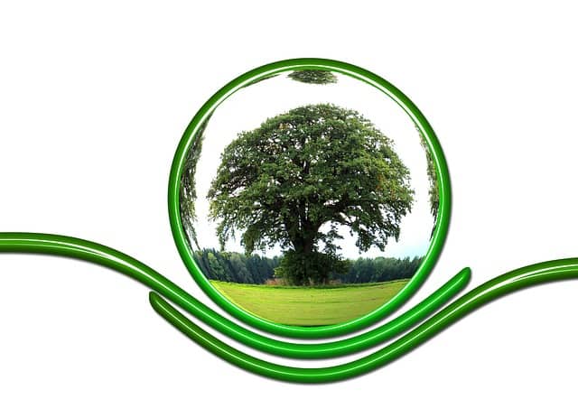 tree In: Bleak Forecast For Fossil Fuels | Our Santa Fe River, Inc. (OSFR) | Protecting the Santa Fe River tree In: Bleak Forecast For Fossil Fuels | Our Santa Fe River, Inc. (OSFR) | Protecting the Santa Fe River