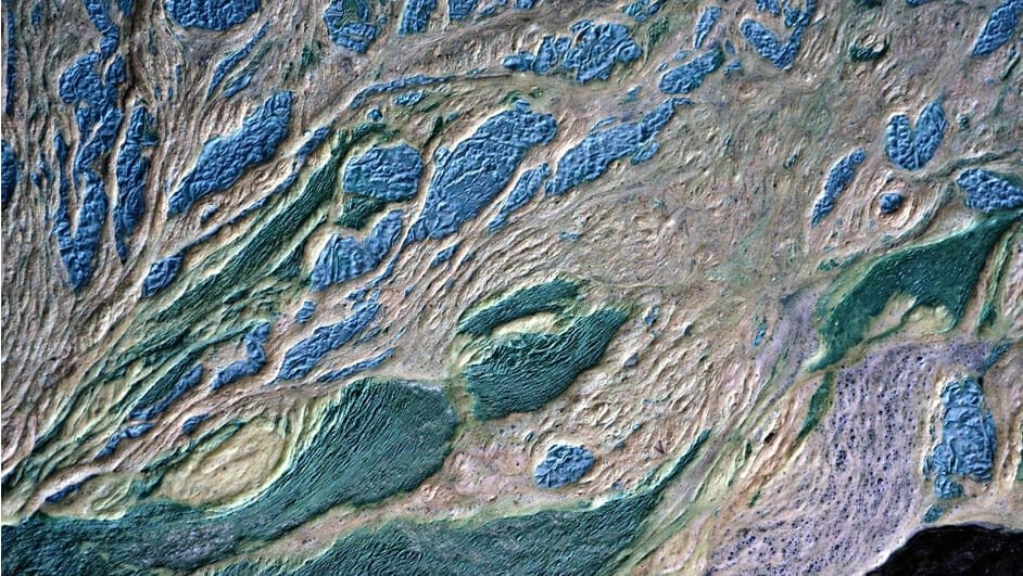 st john algae In: Widespread algae on St. Johns as growing season heats up | Our Santa Fe River, Inc. (OSFR) | Protecting the Santa Fe River