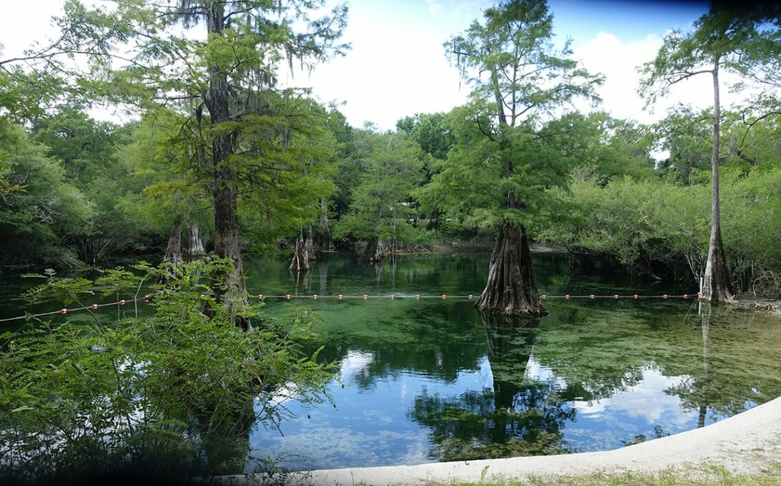 RockBluffsprings In: J.H.Anderson Memorial Park Opening at Rock Bluff | Our Santa Fe River, Inc. (OSFR) | Protecting the Santa Fe River