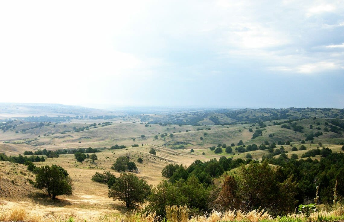 SouthDakota2 In: Debra White Plume, Defender of Her Tribe, Is Dead at 66 | Our Santa Fe River, Inc. (OSFR) | Protecting the Santa Fe River