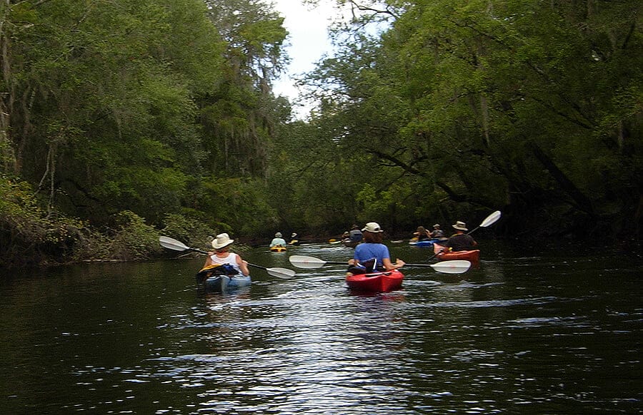PADDLE OCTGROUP 1 In: Two Santa Fe springs to be preserved | Our Santa Fe River, Inc. (OSFR) | Protecting the Santa Fe River PADDLE OCTGROUP 1 In: Two Santa Fe springs to be preserved | Our Santa Fe River, Inc. (OSFR) | Protecting the Santa Fe River