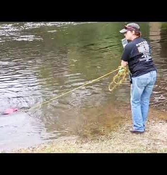 SuzyHall Wwals In: Deadline set to comment on Valdosta EPD Enforcement Order | Our Santa Fe River, Inc. (OSFR) | Protecting the Santa Fe River SuzyHall Wwals In: Deadline set to comment on Valdosta EPD Enforcement Order | Our Santa Fe River, Inc. (OSFR) | Protecting the Santa Fe River