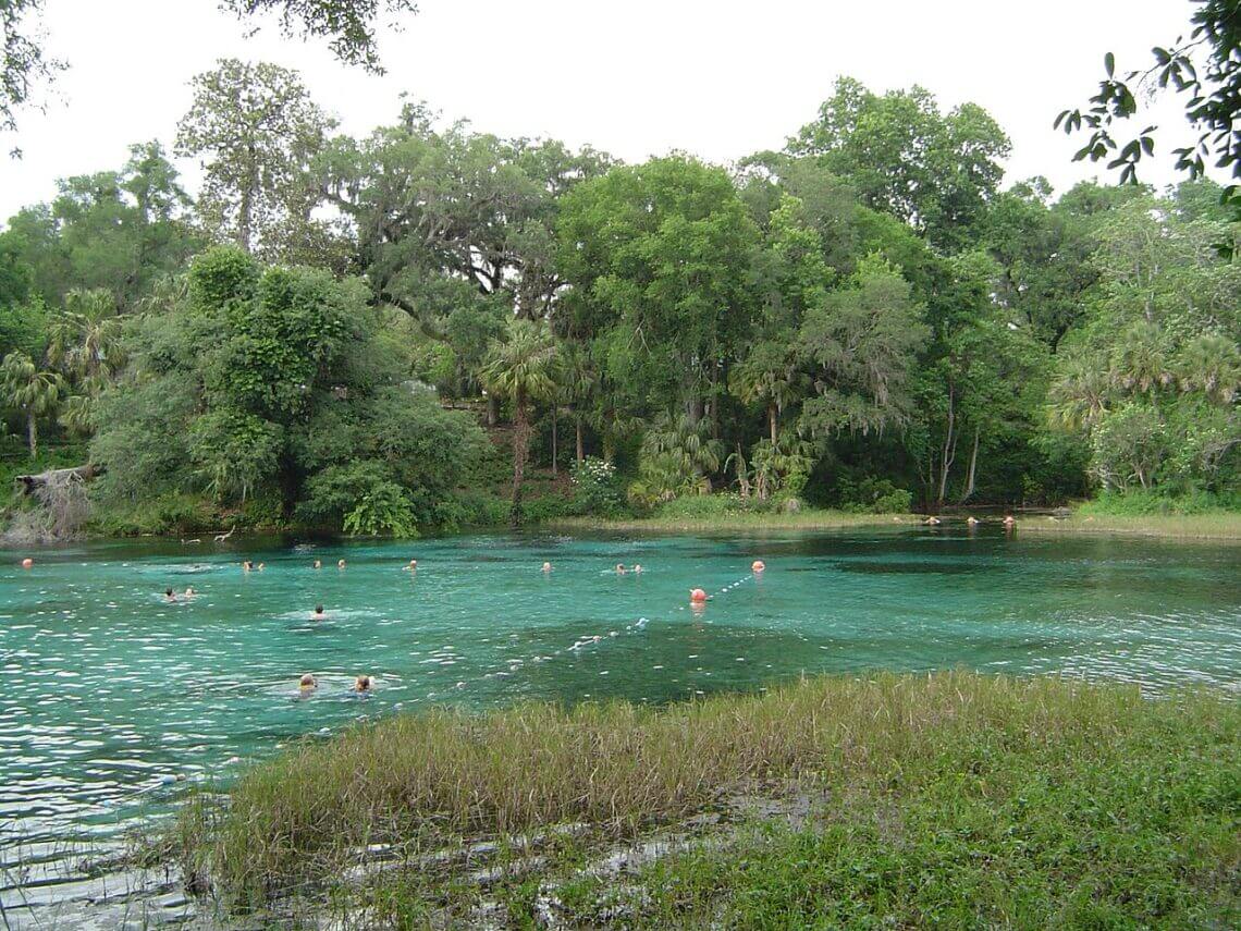 Rainbow spgs florida In: Big Threat For Rainbow River | Our Santa Fe River, Inc. (OSFR) | Protecting the Santa Fe River Rainbow spgs florida In: Big Threat For Rainbow River | Our Santa Fe River, Inc. (OSFR) | Protecting the Santa Fe River