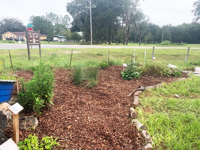 OSFR GARDEN SEPT. 20 A In: OSFR Garden is exemplary | Our Santa Fe River, Inc. (OSFR) | Protecting the Santa Fe River