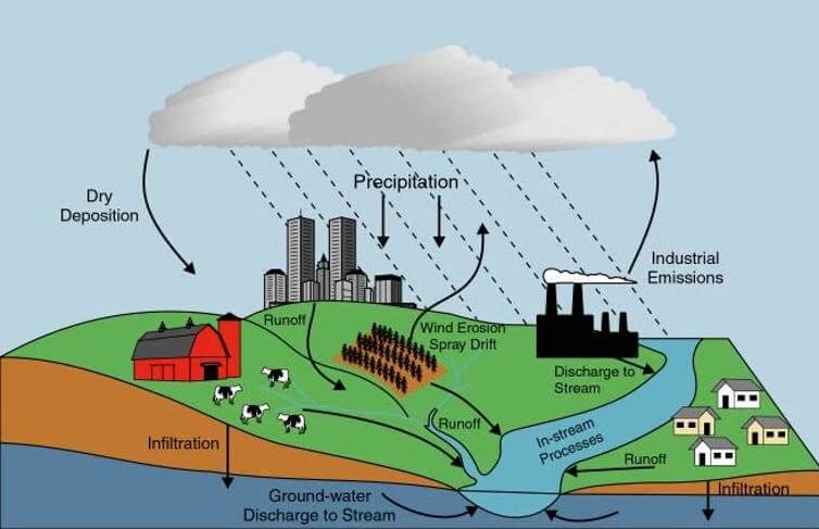 algae USGS In: Florida not ready to fix the problem | Our Santa Fe River, Inc. (OSFR) | Protecting the Santa Fe River algae USGS In: Florida not ready to fix the problem | Our Santa Fe River, Inc. (OSFR) | Protecting the Santa Fe River