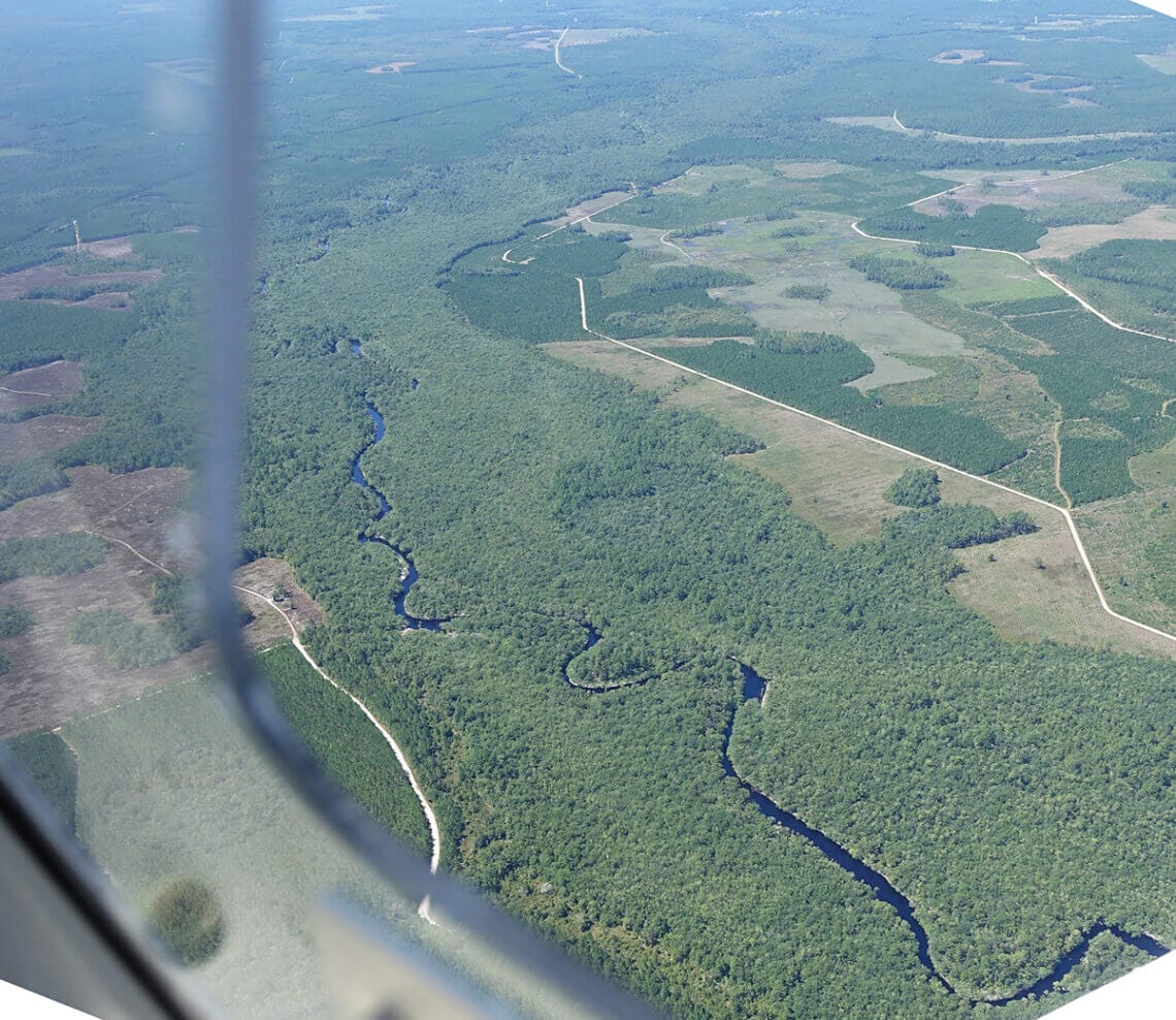 Suwannee r looking southeast In: Clean water rollbacks enable destruction of 400 acres of wetlands near Okefenokee-- | Our Santa Fe River, Inc. (OSFR) | Protecting the Santa Fe River Suwannee r looking southeast In: Clean water rollbacks enable destruction of 400 acres of wetlands near Okefenokee-- | Our Santa Fe River, Inc. (OSFR) | Protecting the Santa Fe River