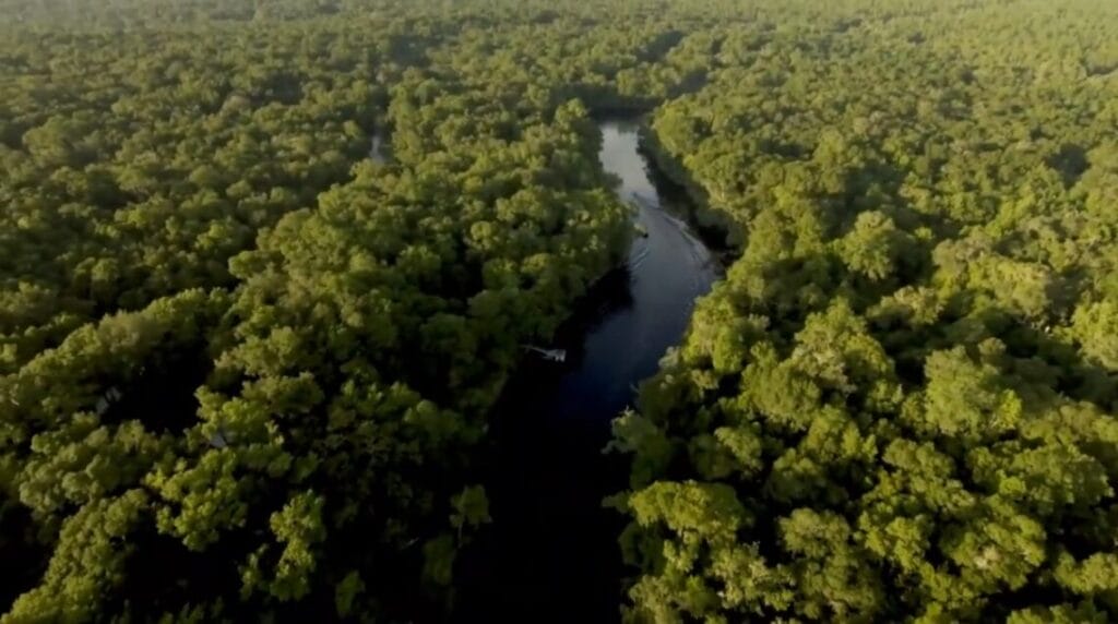 Santa Fe River Video Snapshot In: Public Fed-Up With Development | Our Santa Fe River, Inc. (OSFR) | Protecting the Santa Fe River