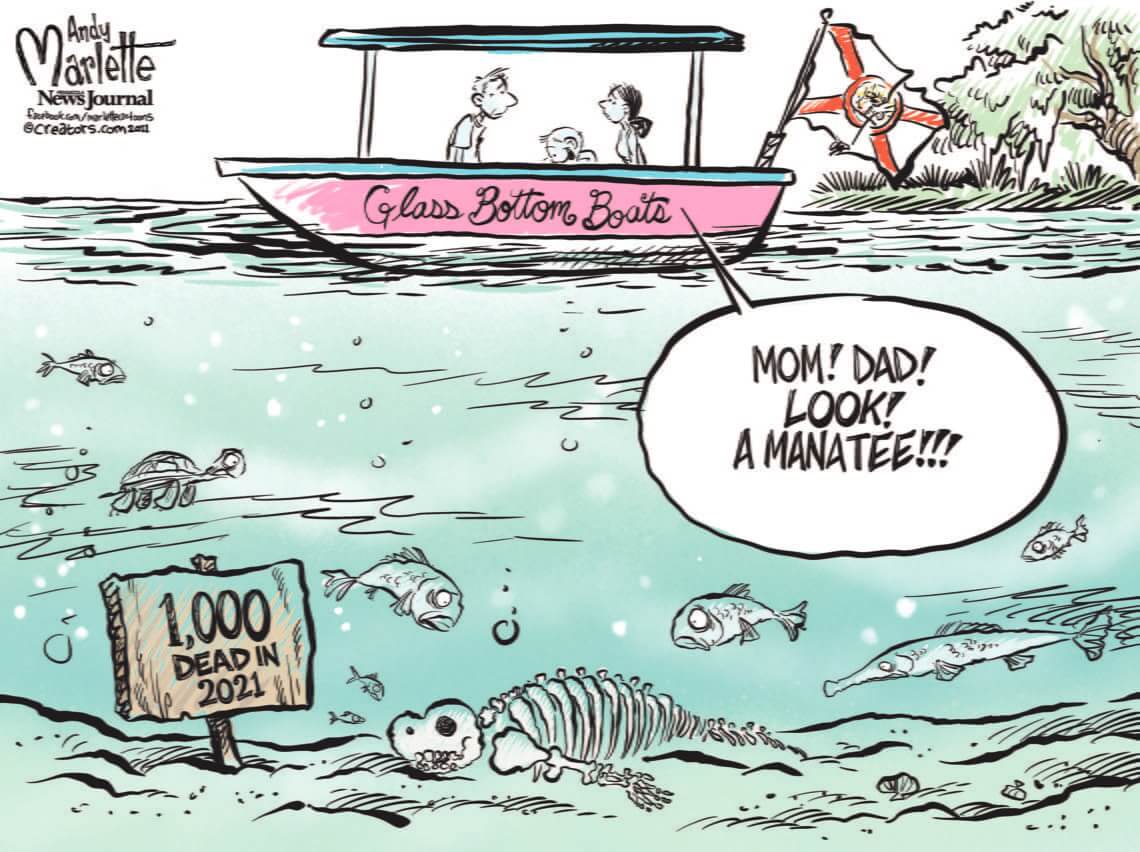 marlettemanateedeaths In: Manatees Need Our Protection ... From Us | Our Santa Fe River, Inc. (OSFR) | Protecting the Santa Fe River marlettemanateedeaths In: Manatees Need Our Protection ... From Us | Our Santa Fe River, Inc. (OSFR) | Protecting the Santa Fe River