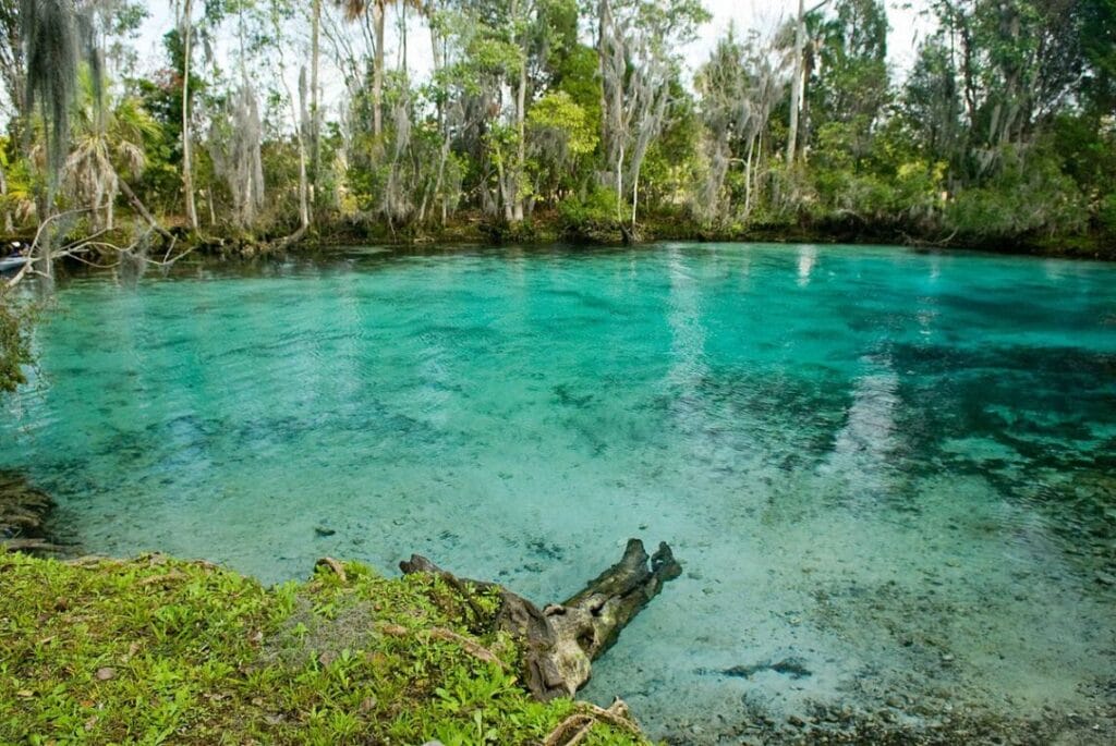 Three sisters springs near crystal river national wildlife refuge In: Priorities For 2024 | Our Santa Fe River, Inc. (OSFR) | Protecting the Santa Fe River Three sisters springs near crystal river national wildlife refuge In: Priorities For 2024 | Our Santa Fe River, Inc. (OSFR) | Protecting the Santa Fe River