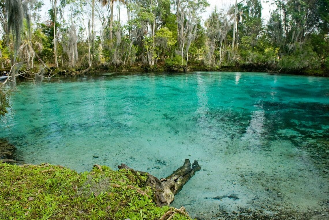 Three sisters springs near crystal river national wildlife refuge In: Kings Bay Restoration Will Only Be Achieved by Significantly Reducing Groundwater Pumping | Our Santa Fe River, Inc. (OSFR) | Protecting the Santa Fe River