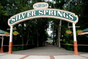 Silverspringspubdom In: The Great Florida Riverway: Three Rivers, 50 Springs and One Solution | Our Santa Fe River, Inc. (OSFR) | Protecting the Santa Fe River Silverspringspubdom In: The Great Florida Riverway: Three Rivers, 50 Springs and One Solution | Our Santa Fe River, Inc. (OSFR) | Protecting the Santa Fe River