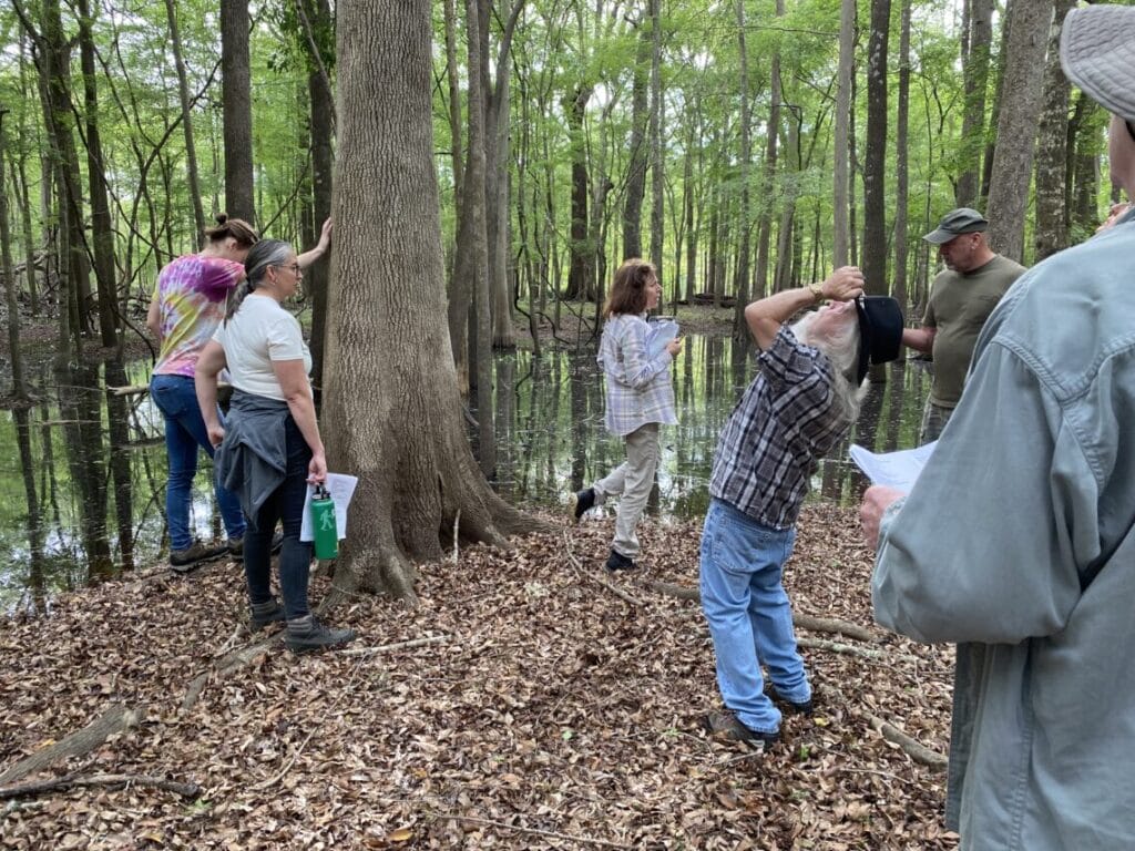 planthike22b In: Ever-popular RiverFest Plant Hike with Dr. Jacono Still a Hit | Our Santa Fe River, Inc. (OSFR) | Protecting the Santa Fe River