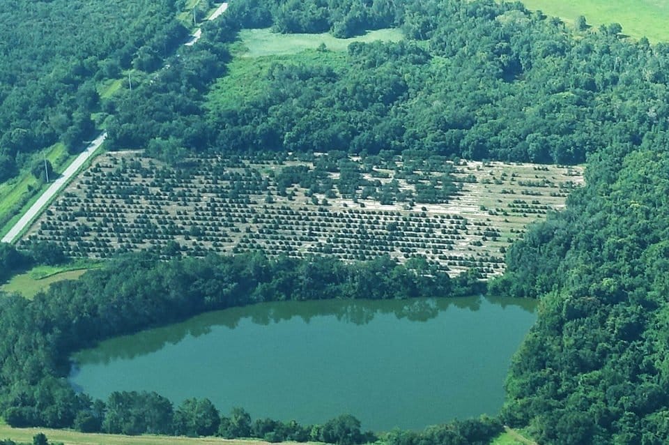 mosaicminedBADcrops In: GOOD FOR THE ENVIRONMENT? No, a Bald Faced Lie | Our Santa Fe River, Inc. (OSFR) | Protecting the Santa Fe River mosaicminedBADcrops In: GOOD FOR THE ENVIRONMENT? No, a Bald Faced Lie | Our Santa Fe River, Inc. (OSFR) | Protecting the Santa Fe River