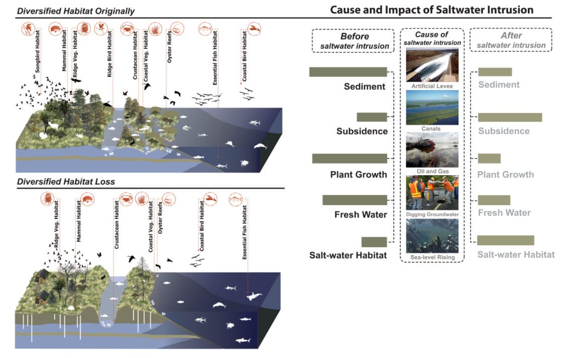 saltwaterintrusion cc In: Senate Saltwater Intrusion Study Bill Flows Out of Final Committee | Our Santa Fe River, Inc. (OSFR) | Protecting the Santa Fe River saltwaterintrusion cc In: Senate Saltwater Intrusion Study Bill Flows Out of Final Committee | Our Santa Fe River, Inc. (OSFR) | Protecting the Santa Fe River