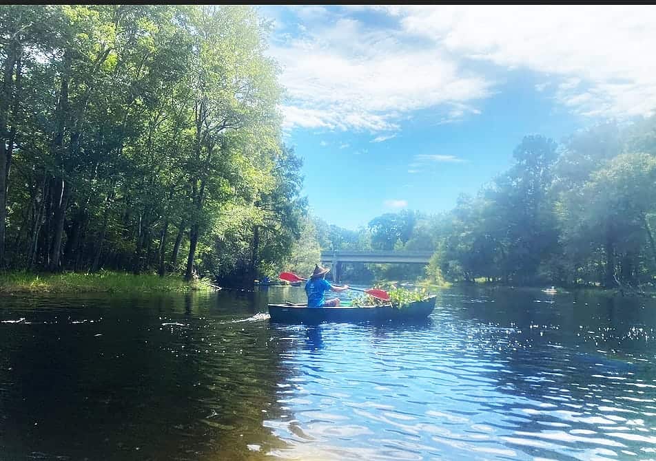 hyacinthKirk In: Successful Invasive Plant/Water Hyacinth Pull | Our Santa Fe River, Inc. (OSFR) | Protecting the Santa Fe River hyacinthKirk In: Successful Invasive Plant/Water Hyacinth Pull | Our Santa Fe River, Inc. (OSFR) | Protecting the Santa Fe River
