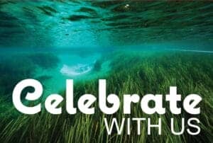 FSIreturement In: Help Celebrate DR. Bob Knight's Incredible Career | Our Santa Fe River, Inc. (OSFR) | Protecting the Santa Fe River