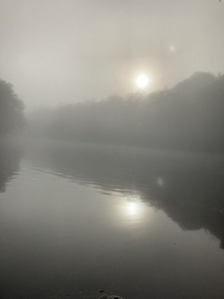 March23santaFe 1 In: Misty Morning on the Santa Fe | Our Santa Fe River, Inc. (OSFR) | Protecting the Santa Fe River MistyMarchMorning