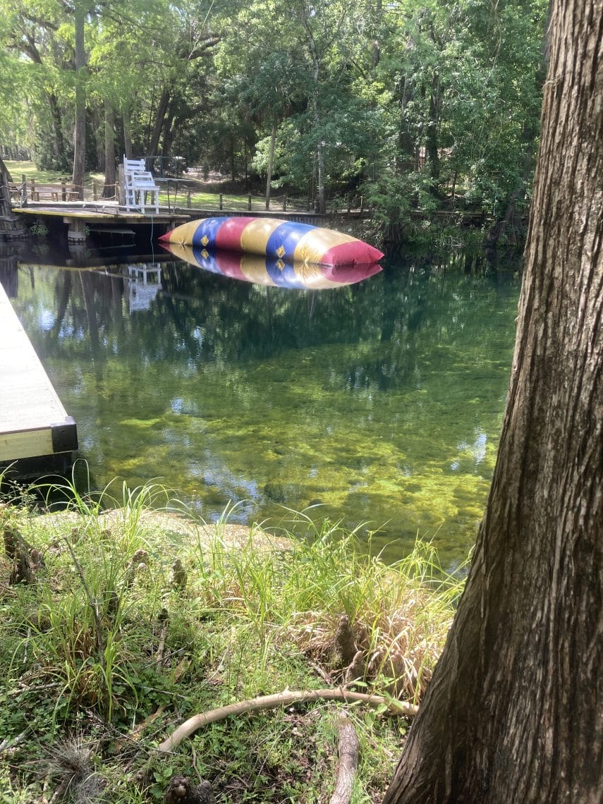 hornsby In: FL- DEP : is 20 years considered immediate action? | Our Santa Fe River, Inc. (OSFR) | Protecting the Santa Fe River Hornsby Spring 2024/JT