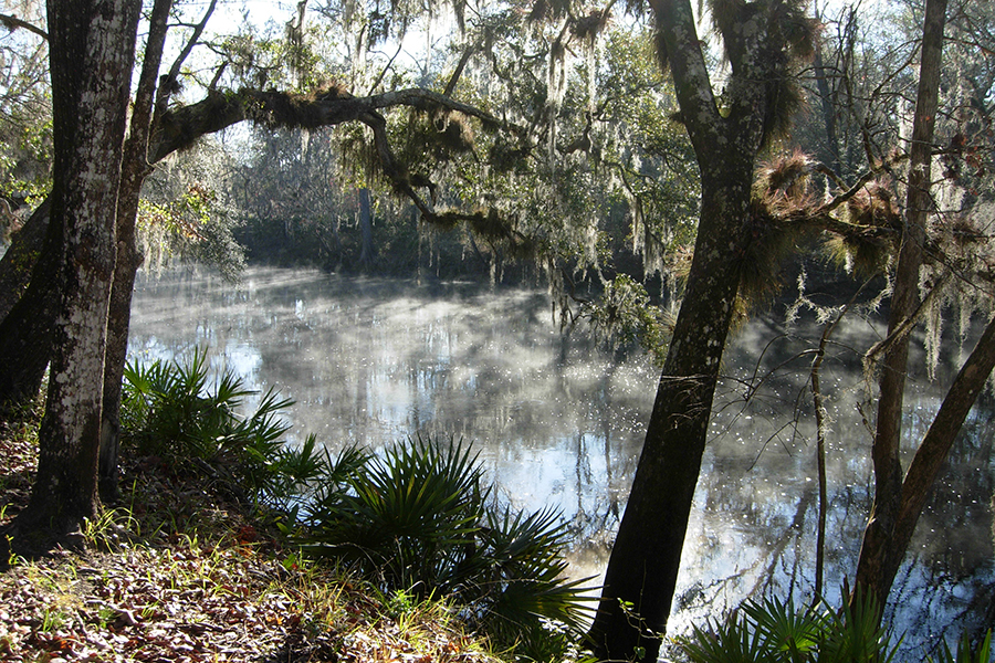 SantaFeRiverbasin In: SRWMD Seeks Input to Utilize Grant Funds. Environmental Meeting May 11, 2016 | Our Santa Fe River, Inc. (OSFR) | Protecting the Santa Fe River SantaFeRiverbasin