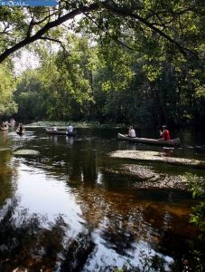 bilde running out of water In: Running Out of Water | Our Santa Fe River, Inc. (OSFR) | Protecting the Santa Fe River bilde_running_out_of_water