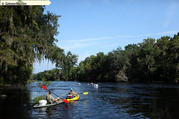 canoesonriver2 In: Our Water Problems Are Political Problems | Our Santa Fe River, Inc. (OSFR) | Protecting the Santa Fe River canoesonriver2