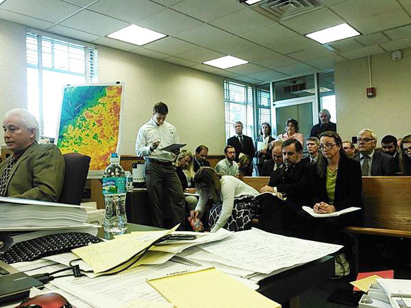 merrillee at WWals hearing In: OSFR Policy Director Testifies at Jasper Sabal Trail-WWALS Hearing | Our Santa Fe River, Inc. (OSFR) | Protecting the Santa Fe River Merrille jasper hearing