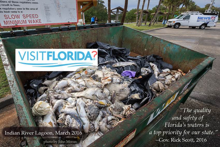 moran indianriver In: GOV. SCOTT APPLAUDS RESPONSE TO ALGAL BLOOM | Our Santa Fe River, Inc. (OSFR) | Protecting the Santa Fe River moran-indianriver