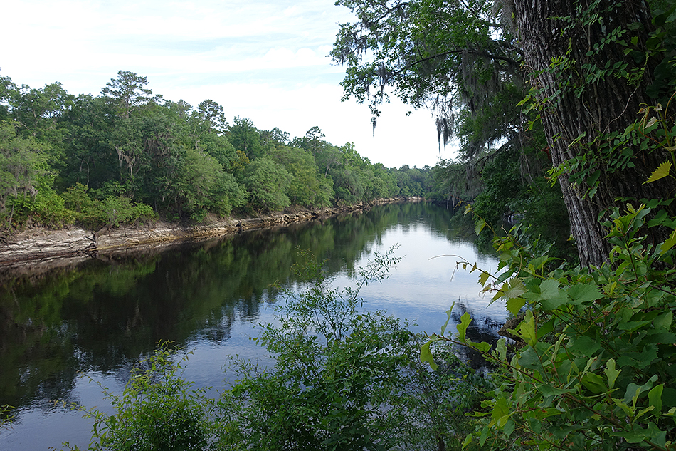 stwalkriver In: Sabal Trail Walk Inspires | Our Santa Fe River, Inc. (OSFR) | Protecting the Santa Fe River stwalkriver