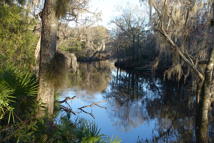 winterafternoon2working In: Public Input Needed for Santa Fe River Boating Zones | Our Santa Fe River, Inc. (OSFR) | Protecting the Santa Fe River winterafternoon2working