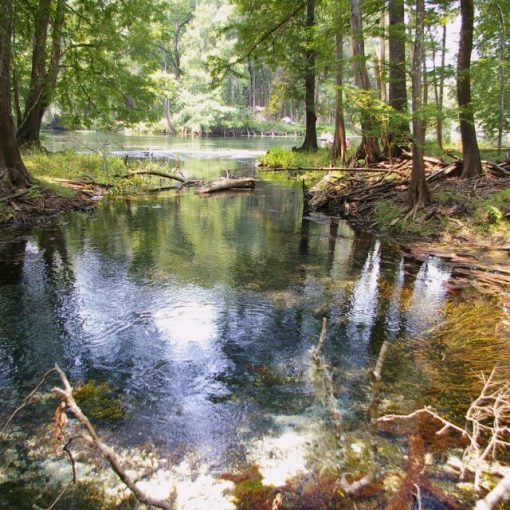 001 27a2 Sawdust Springs In: Latest On Water Withdrawal Permit Requests | Our Santa Fe River, Inc. (OSFR) | Protecting the Santa Fe River