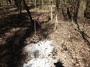 1238829 749975951693711 1749650152 s2 In: Gas Pipeline Alert: Core drill sampling: What happened and what DID NOT happen... | Our Santa Fe River, Inc. (OSFR) | Protecting the Santa Fe River