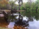 1969156 749576095067030 2097912593 s2 In: Wednesday, March 19, 2014. 11:30 am. Santa Fe River at Rum Island Spring is defi... | Our Santa Fe River, Inc. (OSFR) | Protecting the Santa Fe River